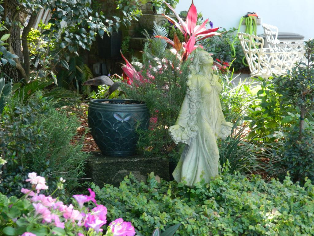 סיינט אגוסטין Bayfront Westcott House Bed & Breakfast מראה חיצוני תמונה